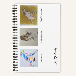 Pyrenees, Bassett Hound Rainbow Dog Sketchbook Notebook
