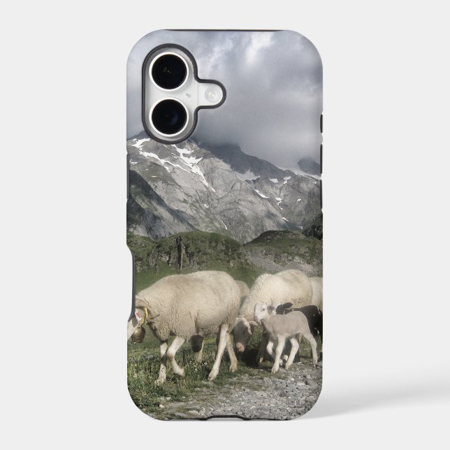 pyrenees landscape (Back)