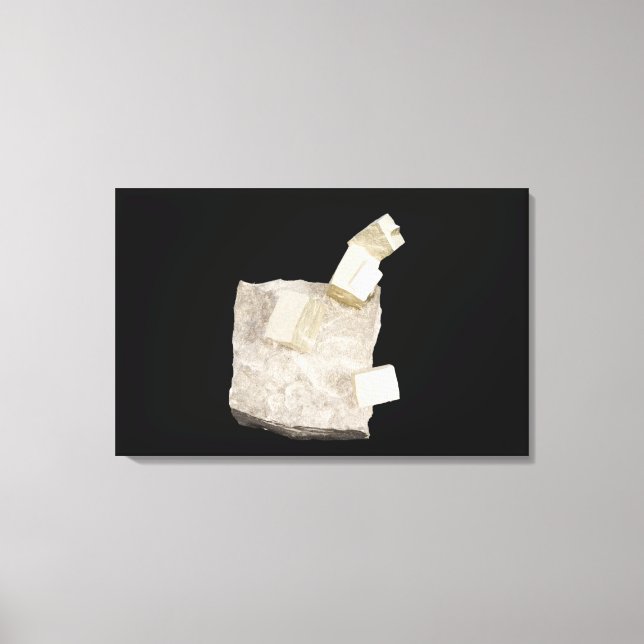 Pyrite Crystals in Shale Canvas Print (Front)