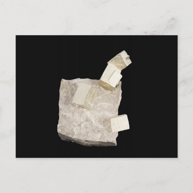 Pyrite Crystals in Shale Postcard (Front)