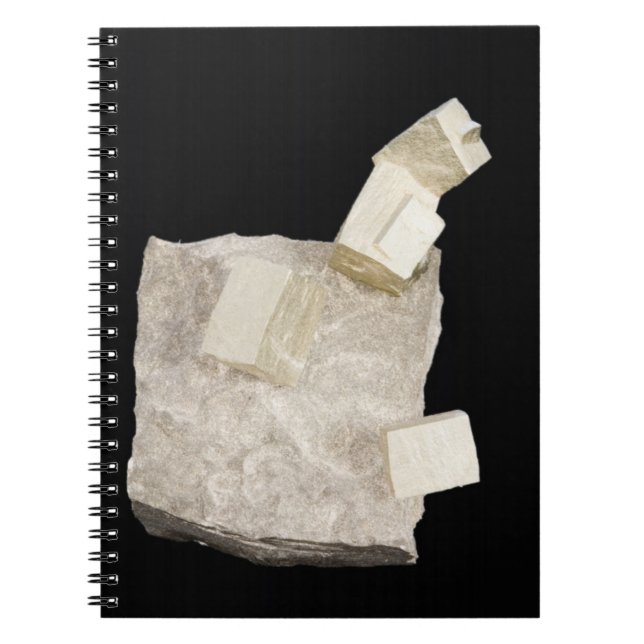 Pyrite Crystals in Shale Spiral Notebook (Front)