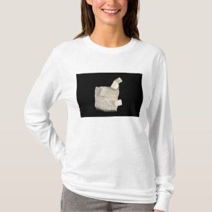 Pyrite Crystals in Shale T-Shirt