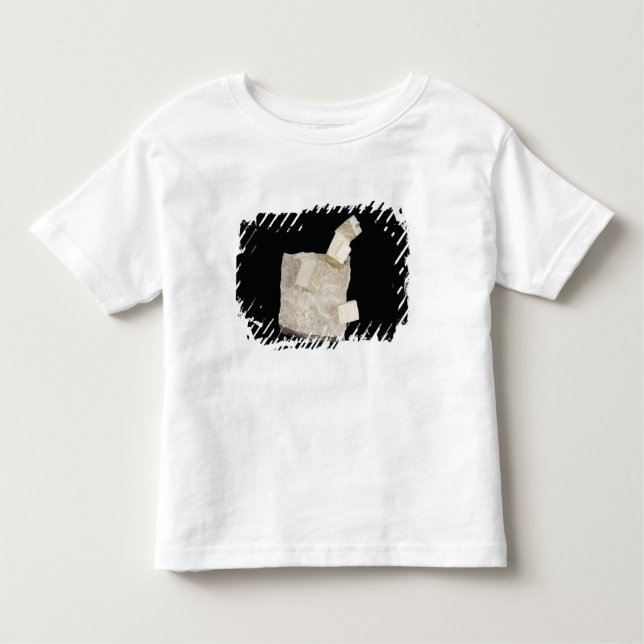 Pyrite Crystals in Shale Toddler T-Shirt (Front)