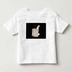 Pyrite Crystals in Shale Toddler T-Shirt