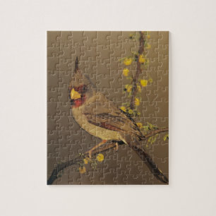 Pyrrhuloxia, Cardinalis sinuatus Jigsaw Puzzle