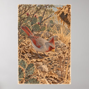 Pyrrhuloxia – South Texas Desert Cardinal Bird Art Poster