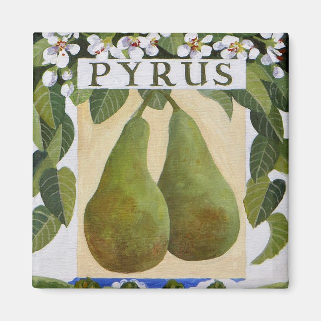 Pyrus Magnet (Front)
