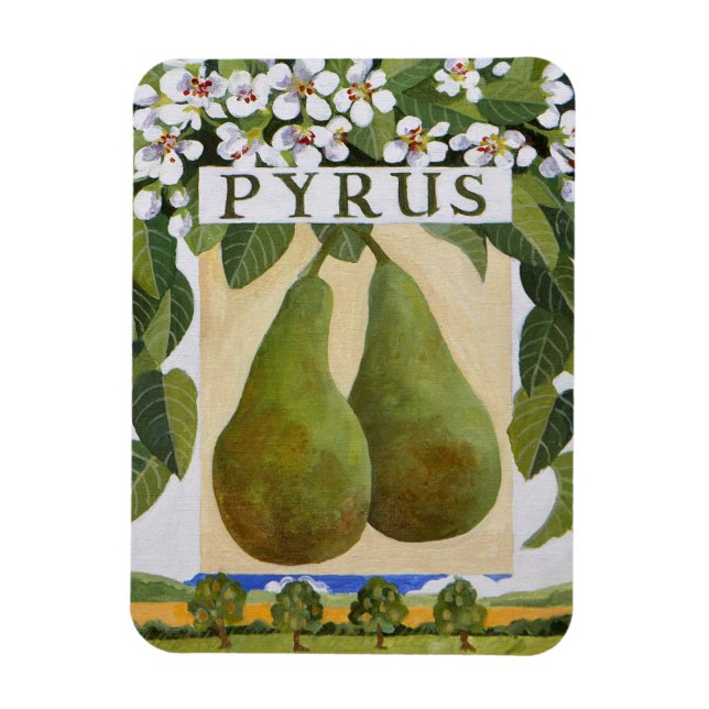 Pyrus Magnet (Vertical)