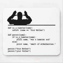Python Code-Your mother was a hamster