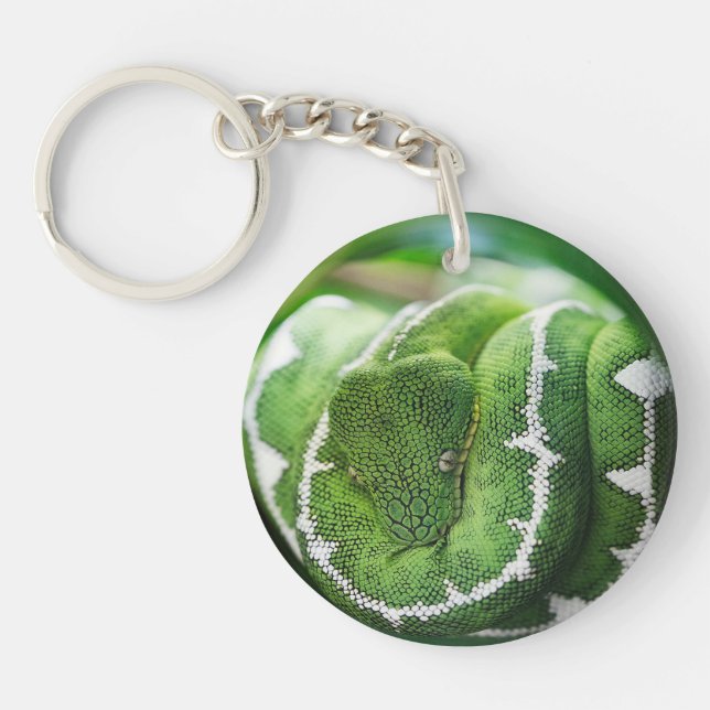 Python Key Ring (Front)