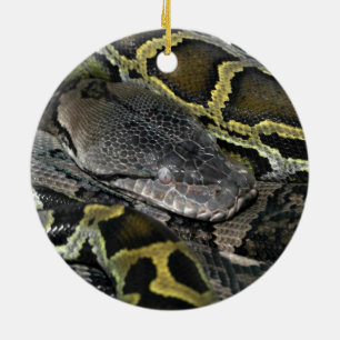 Python molurus bivittatus ceramic tree decoration