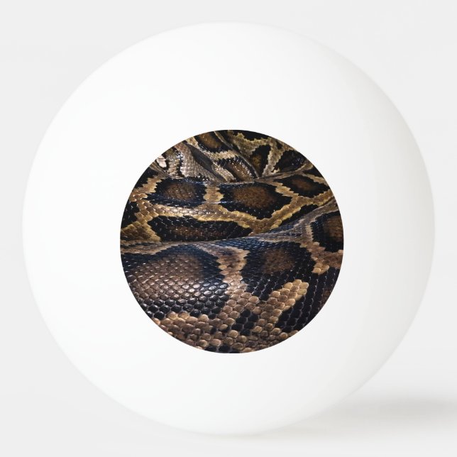 Python Ping Pong Ball (Front)