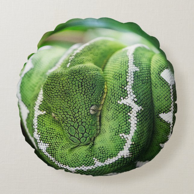 Python Round Cushion (Front)