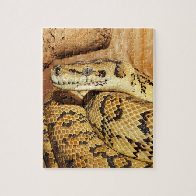 Python snake jigsaw puzzle (Vertical)