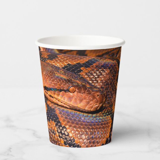 Python Snake Paper Cups (Back)