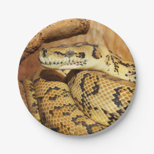 Python snake paper plate