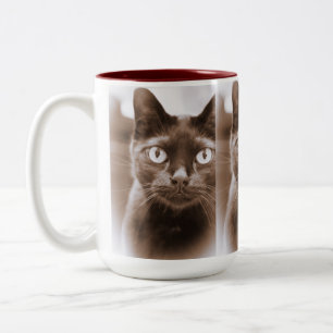 Pywacket Potrait I Mug