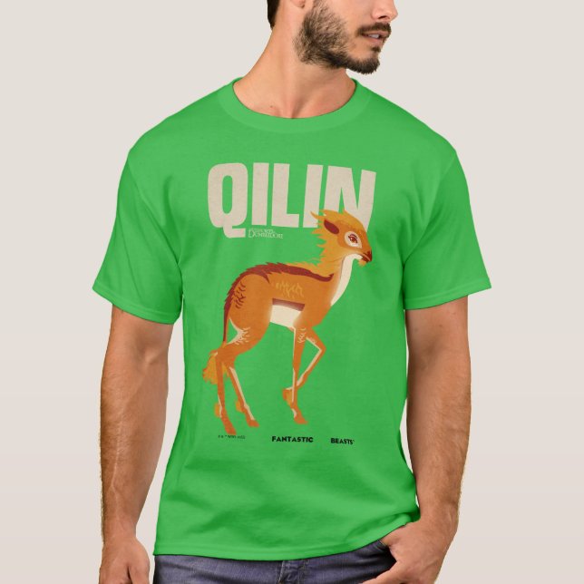 Qilin Vintage Graphic T-Shirt (Front)