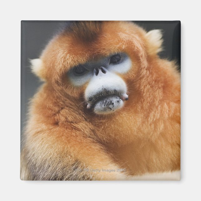 Qinling Mountains Magnet (Front)