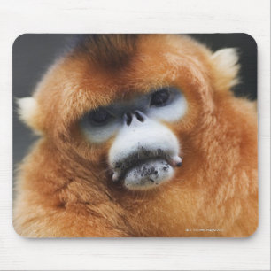 Qinling Mountains Mouse Pad