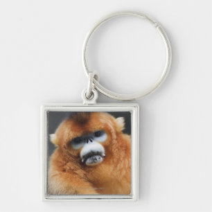 Qinling Mountains, Oct 2006 2 Key Ring