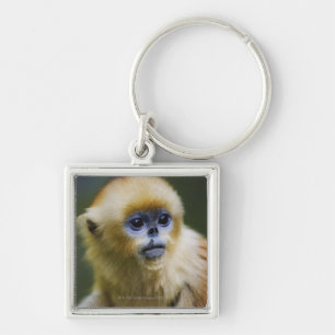 Qinling Mountains, Oct 2006 Key Ring