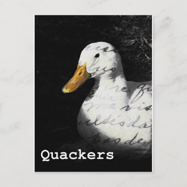Quackers Postcard (Front)