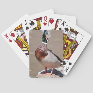 Quacking Mallard Duck Playing Cards
