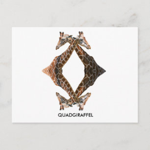 QUADGIRAFFEL POSTCARD