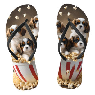 Quads Cavalier Spaniel Puppies In The Popcorn, Jandals