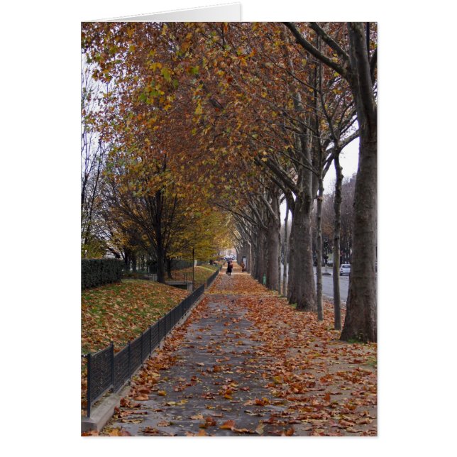 Quai d'Orsay (Front)