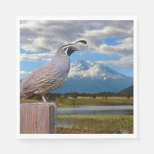 QUAIL AND SHASTA NAPKIN