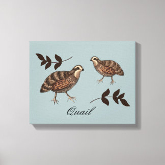 Quail Art Canvas Print