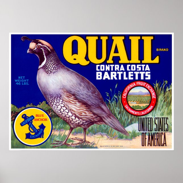 Quail Brand Contra Costa Bartletts Poster (Front)