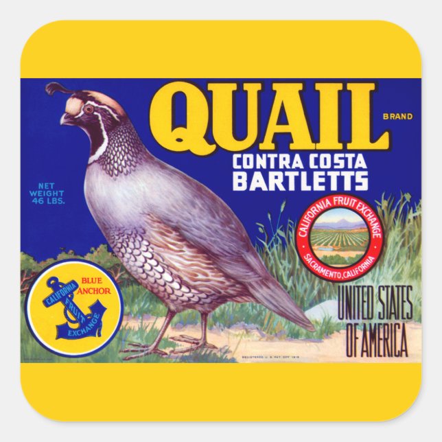 Quail Brand Contra Costa Bartletts Square Sticker (Front)