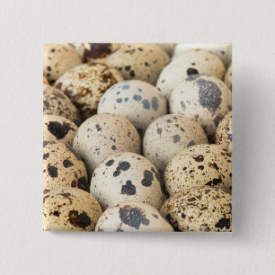 Quail Eggs 15 Cm Square Badge