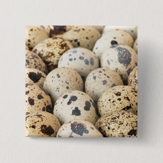 Quail Eggs 15 Cm Square Badge (Front)