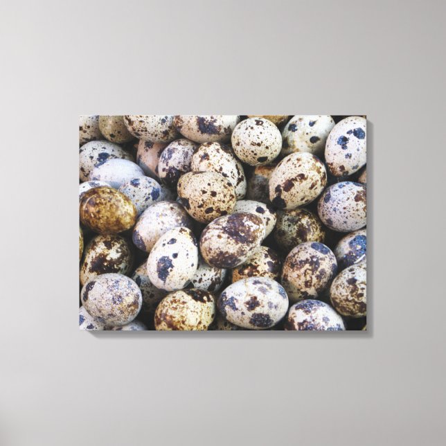 Quail Eggs Canvas Print (Front)
