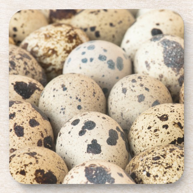 Quail Eggs Coaster (Front)