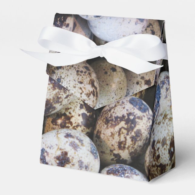 Quail Eggs Favour Box (Front Side)