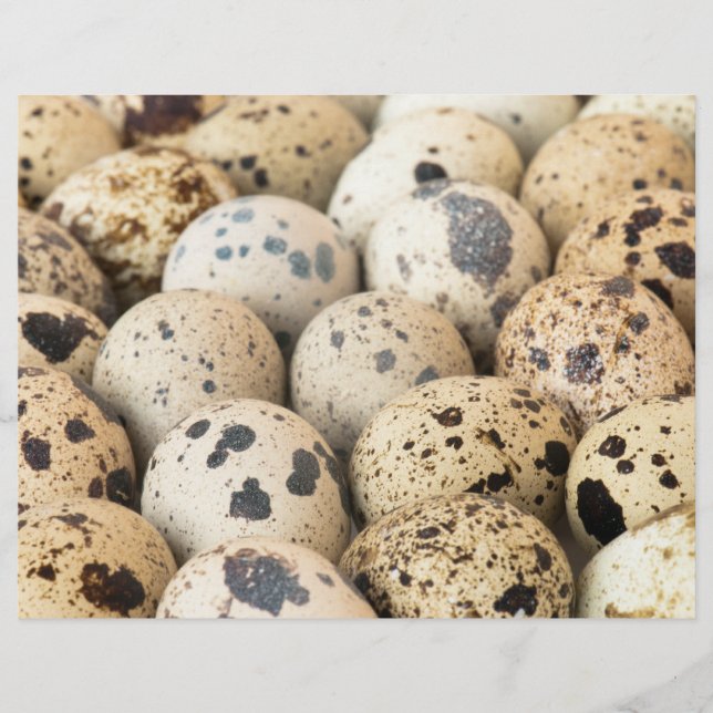 Quail Eggs Flyer (Front)
