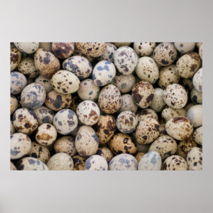 Quail Eggs, Huaraz, Cordillera Blanca, Ancash Poster