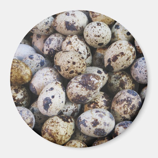 Quail Eggs Magnet (Front)