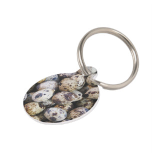 Quail Eggs Pet Tag