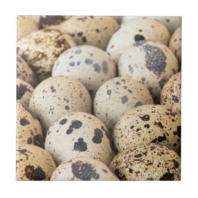 Quail Eggs Tile (Front)