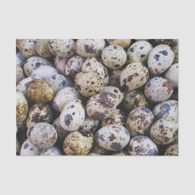 Quail Eggs Tissue Paper (Front)