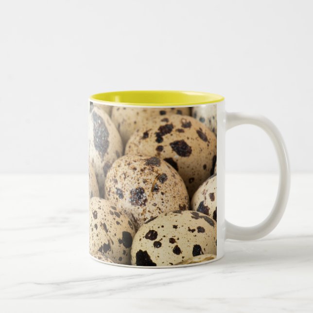 Quail Eggs Two-Tone Coffee Mug (Right)