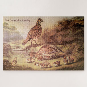 Quail Family Large Puzzle (500 pieces)