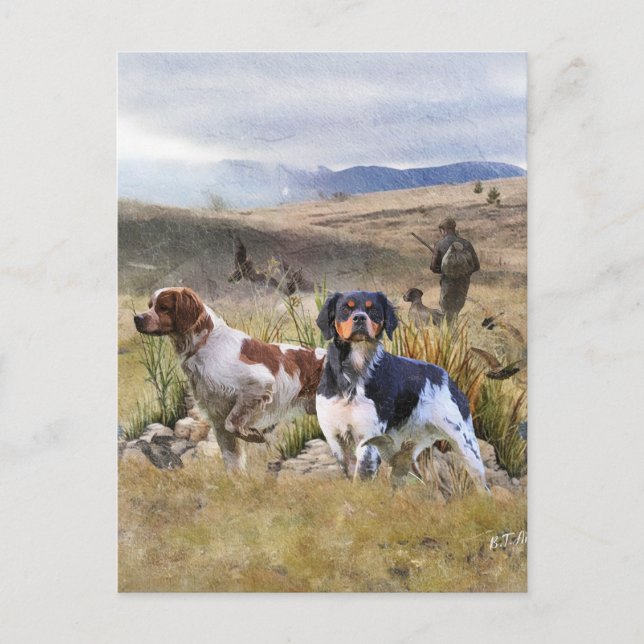 Quail Hunting with a Brittany Spaniels, Art  Holiday Postcard (Front)
