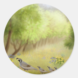 Quail in a Meadow Sticker